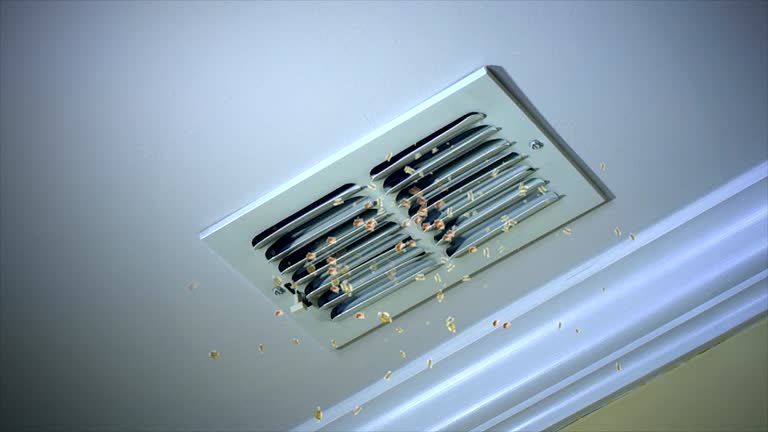 Best Commercial Air Duct Cleaning  in Little Elm, TX