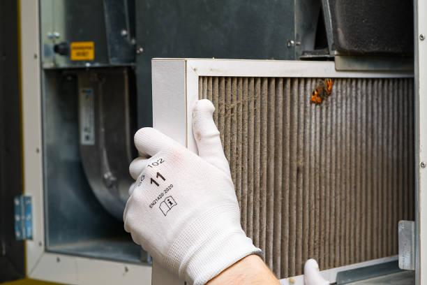Best Ductwork Cleaning Services  in Little Elm, TX